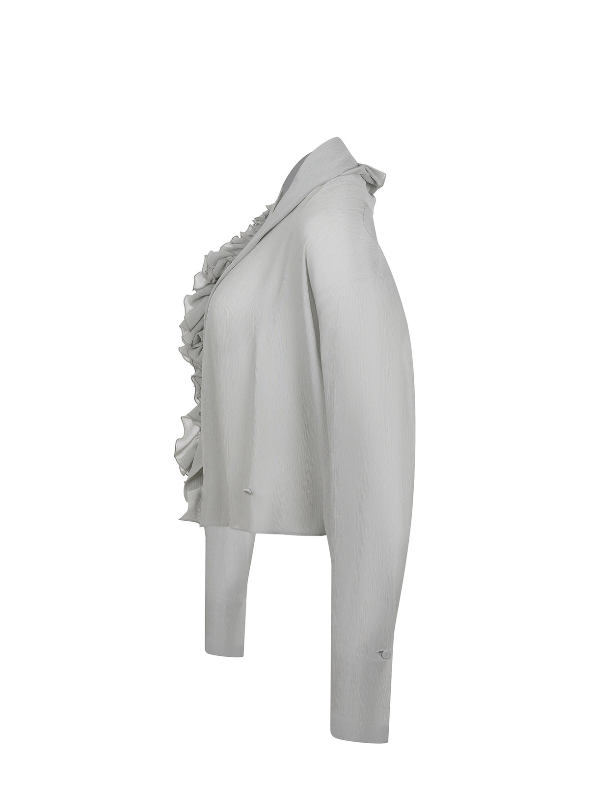 Camicia Alberta Ferretti 