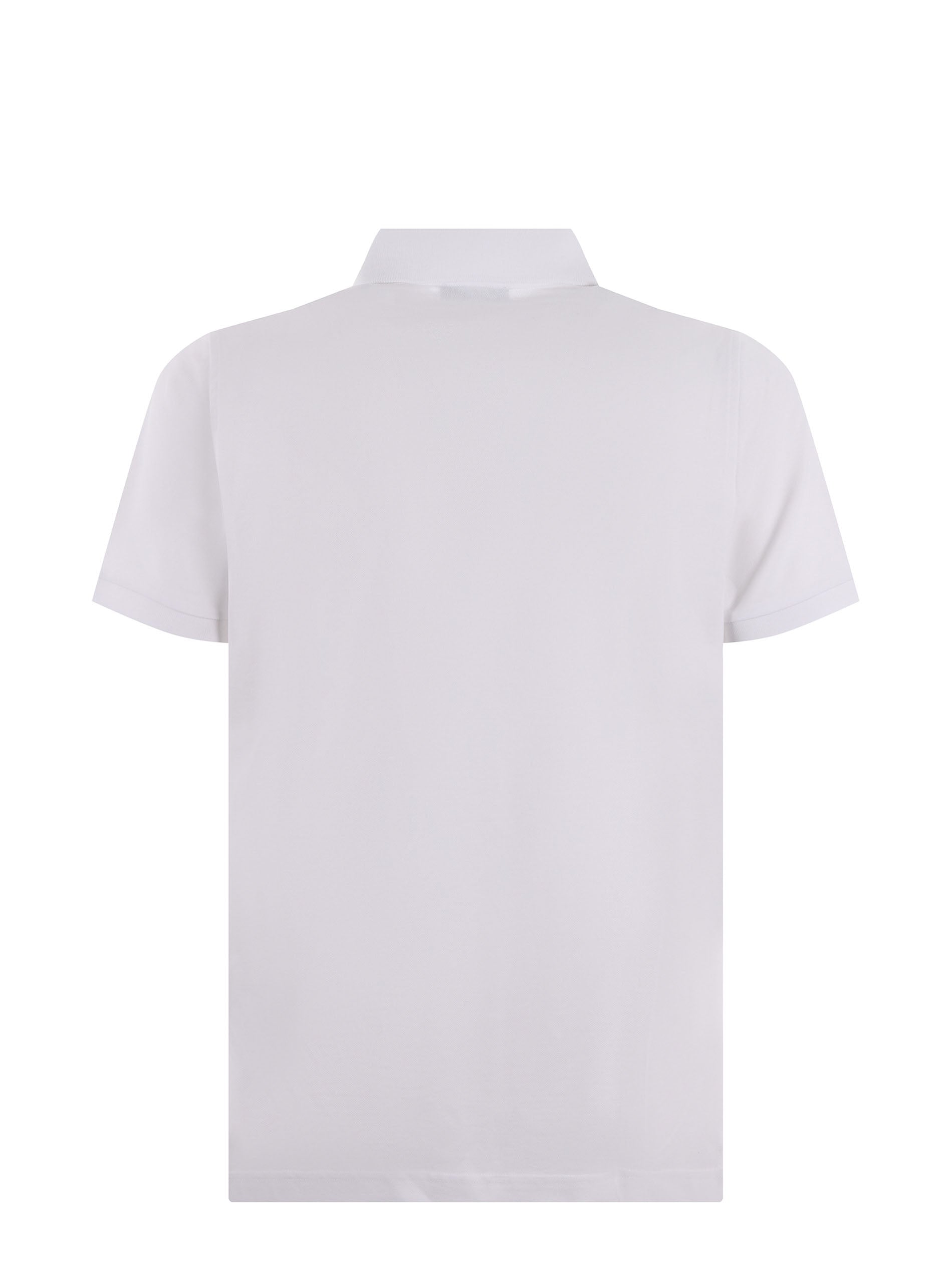 Polo Fay 