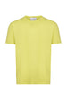 AMARANTO T-shirt B6D0054 21M Cedro