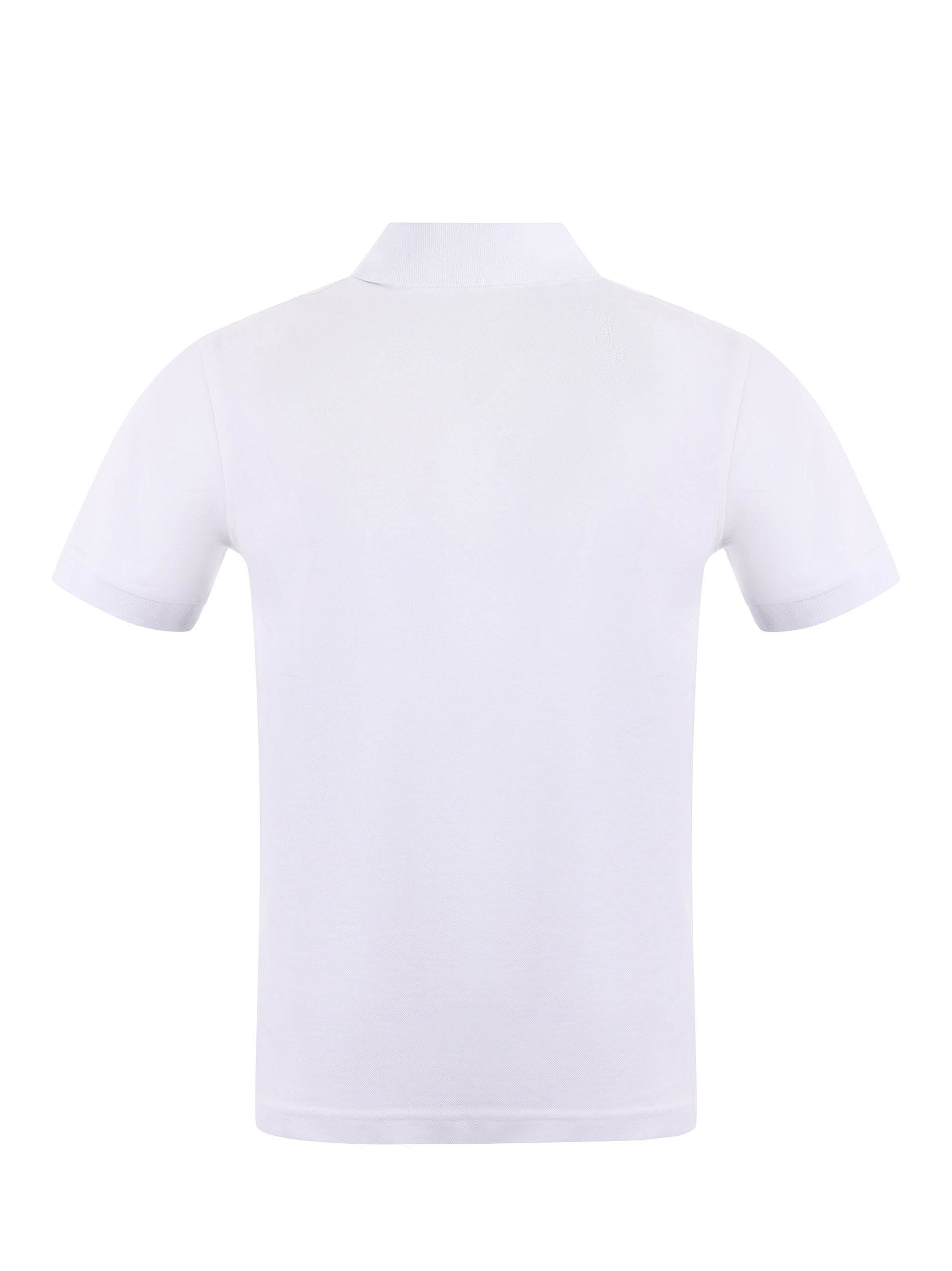 Polo Fay 