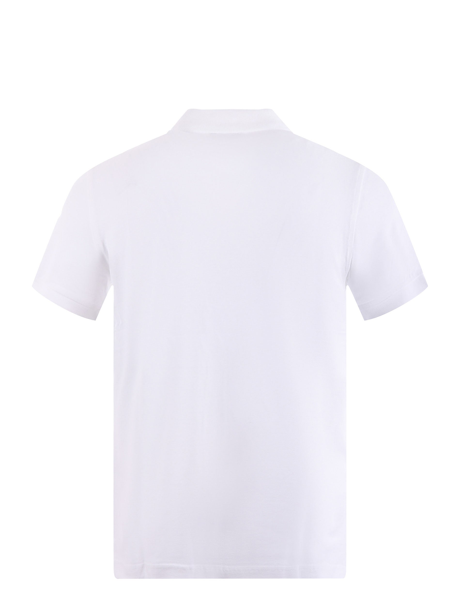 Polo Fay 