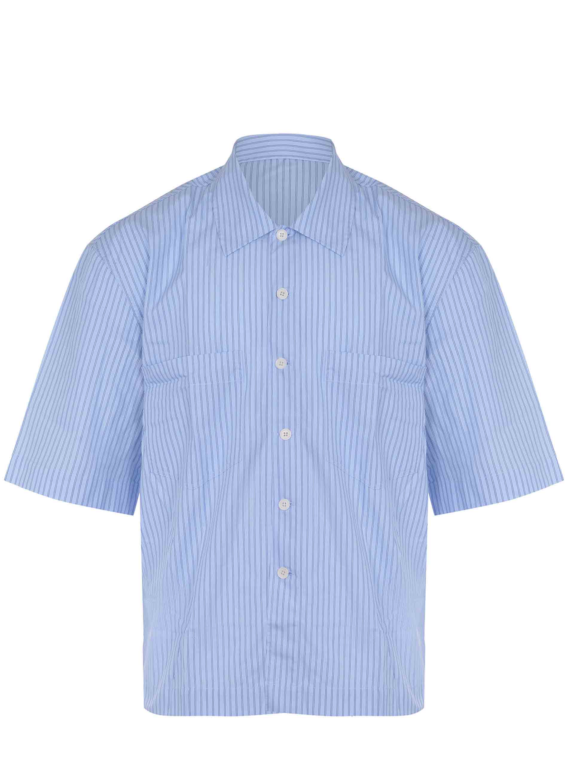 Camicia Sunflower 