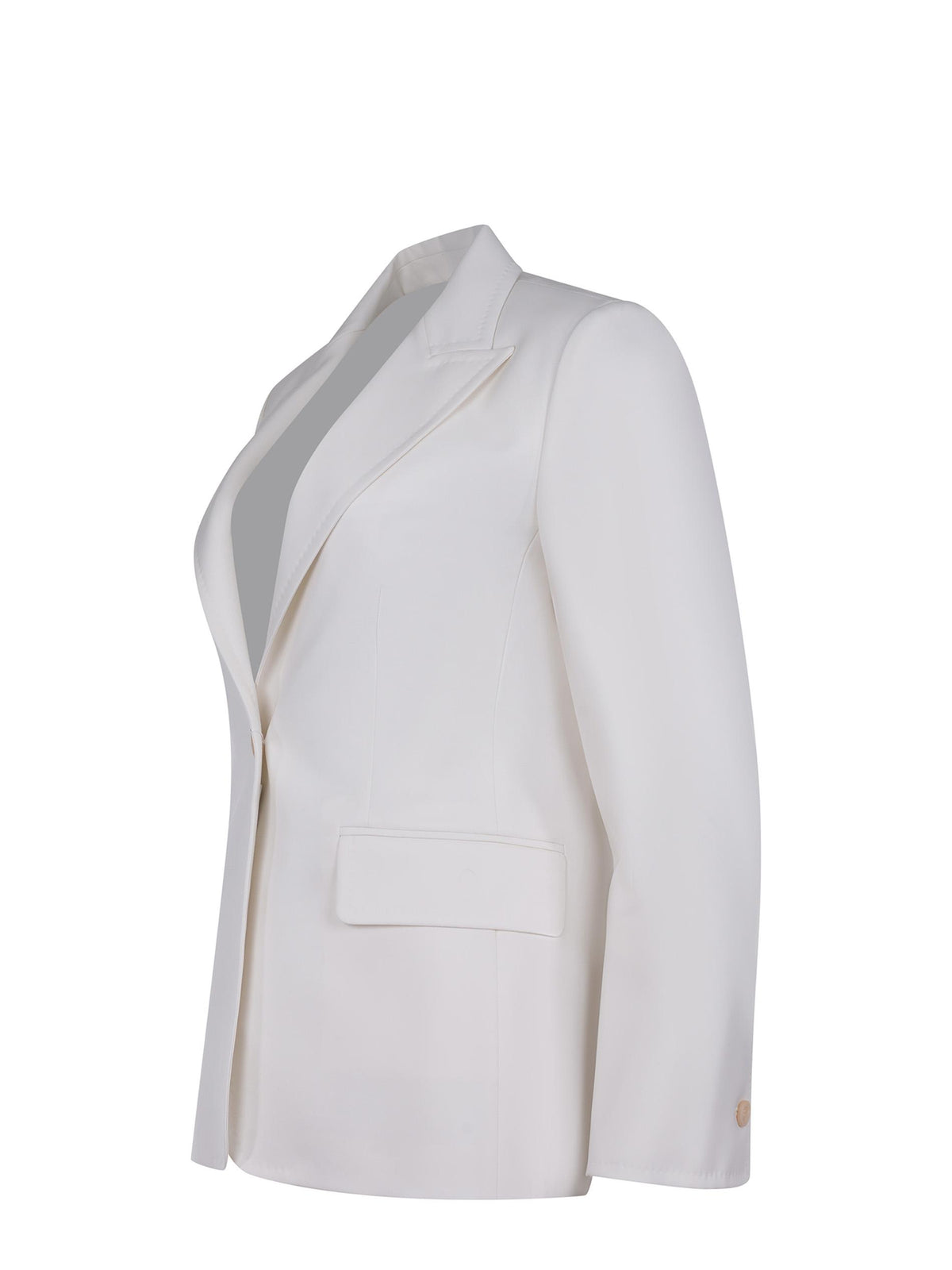 Blazer Max Mara "Palchi" 