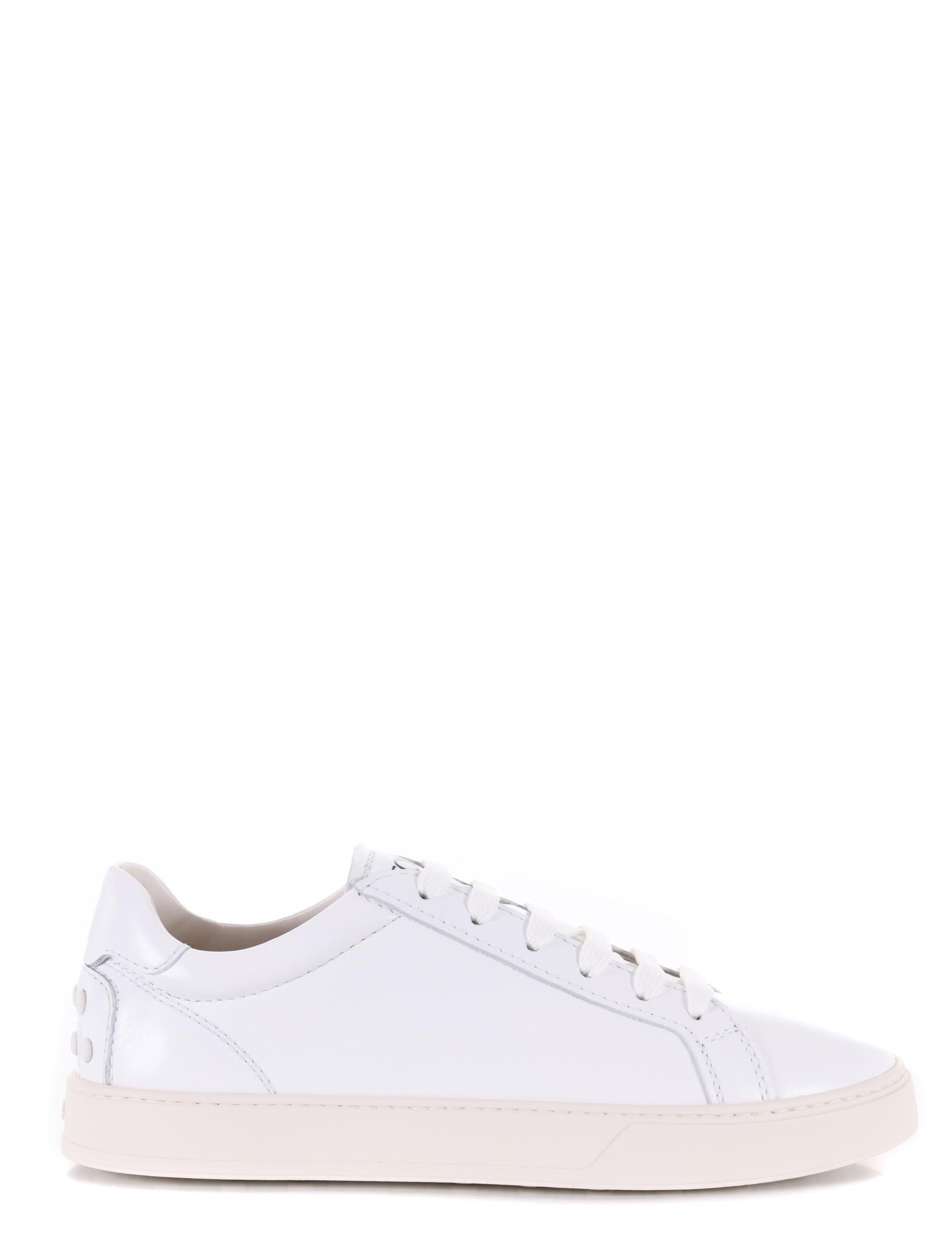 Sneakers Tod's 