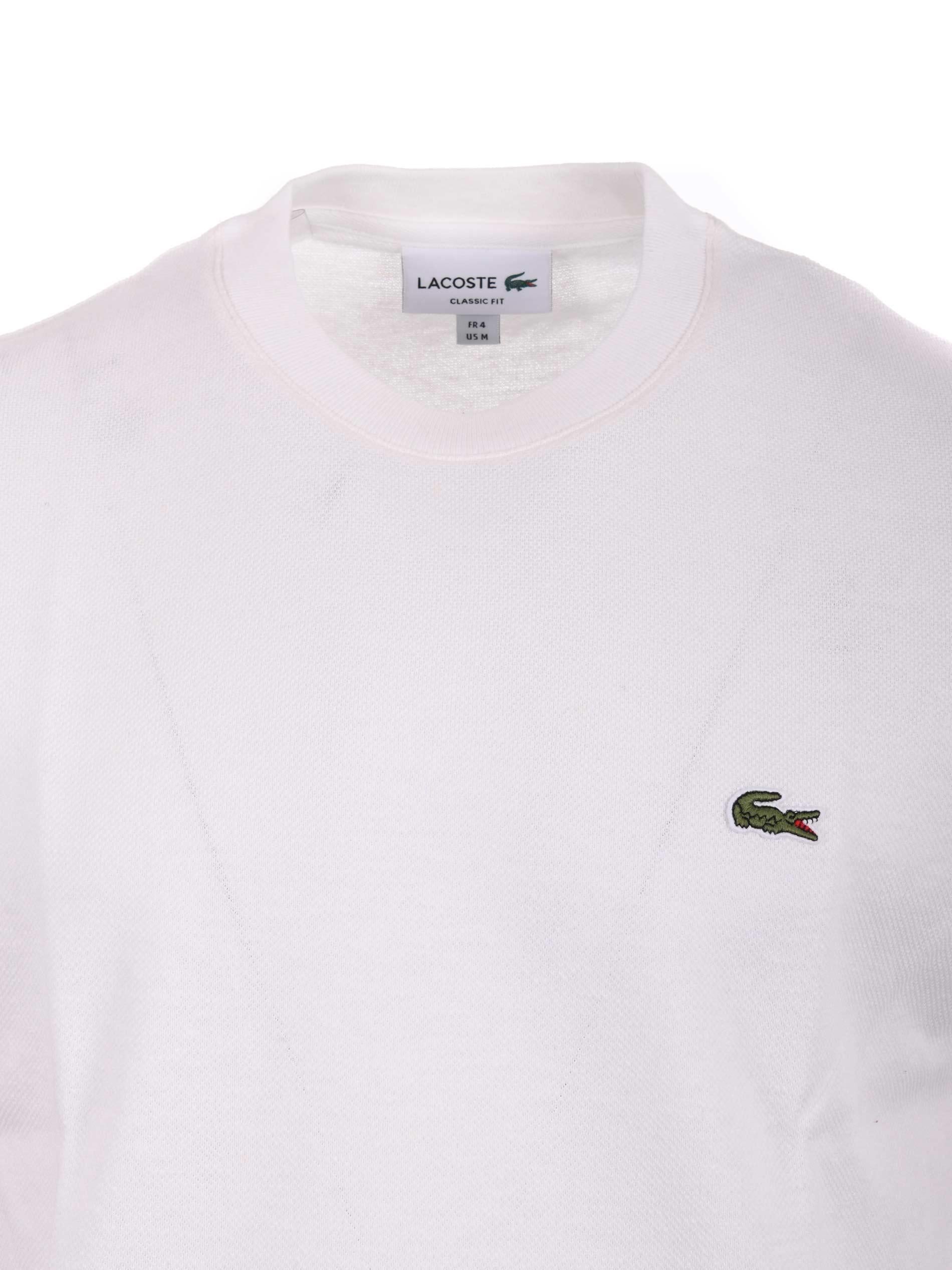 T-shirt Lacoste 
