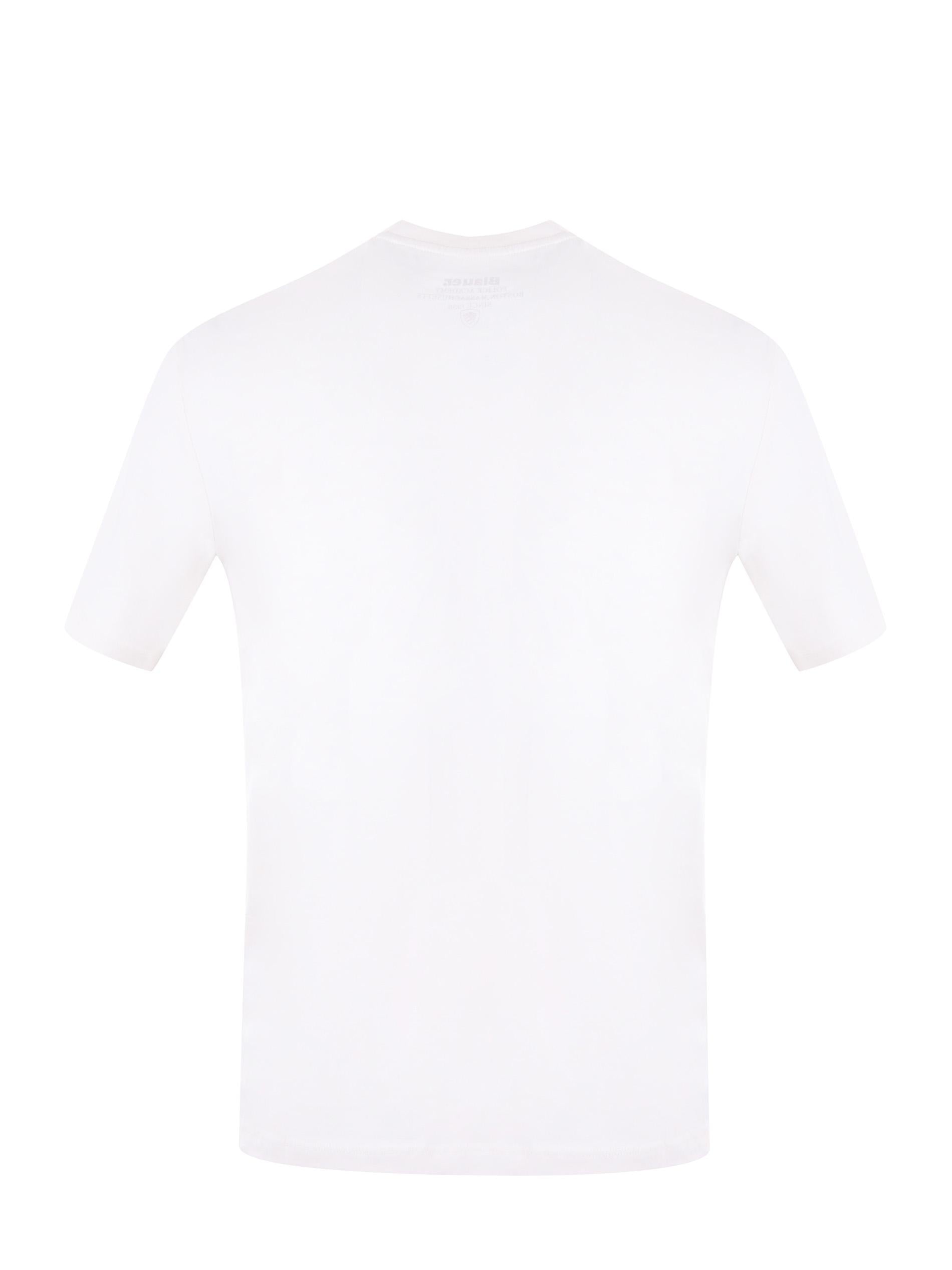 BLUH022997439-102 BLAUER