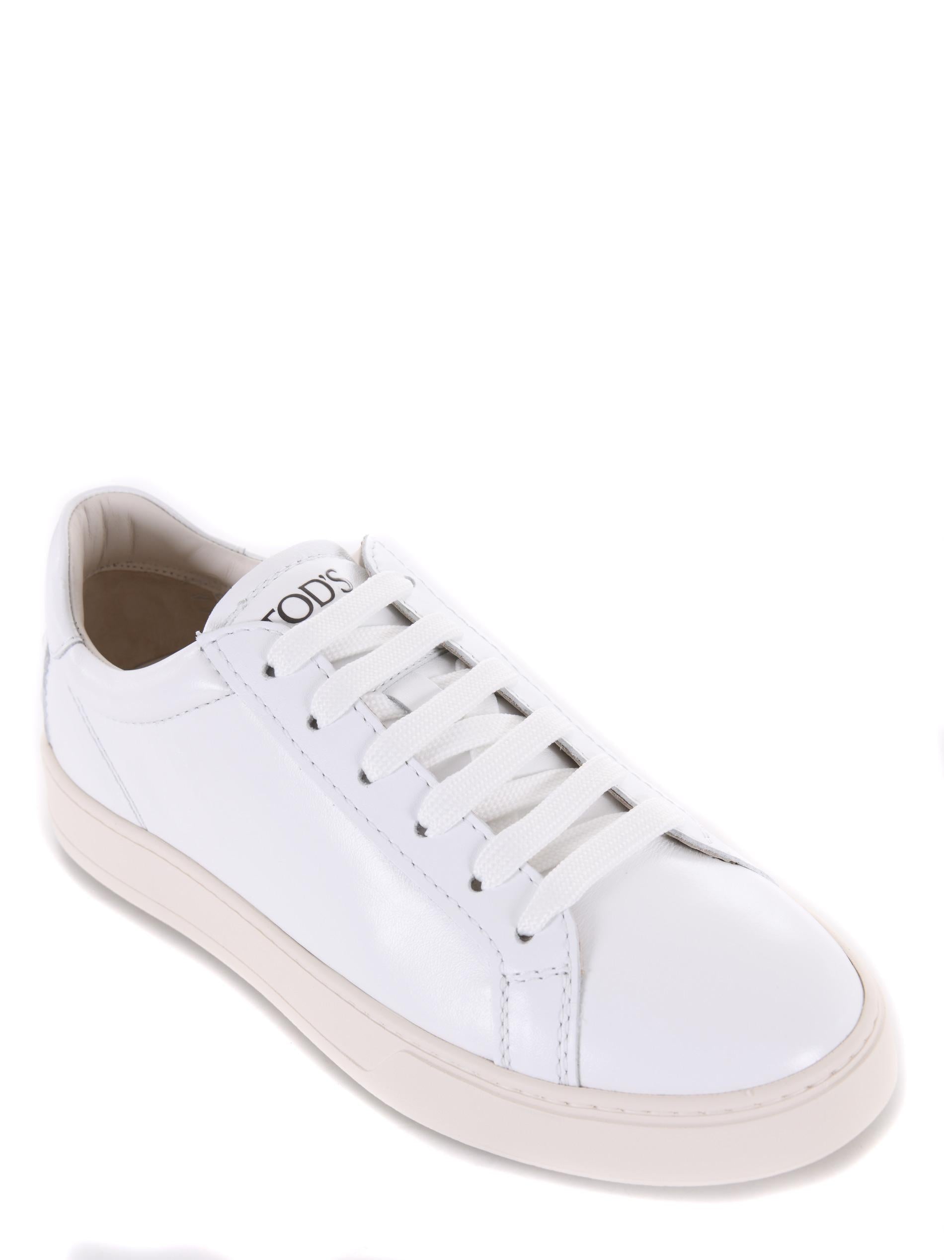 Sneakers Tod's 