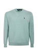POLO RALPH LAUREN Jumpers 710890558 513 Light green